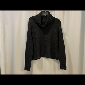 Banana Republic Turtleneck Sweater